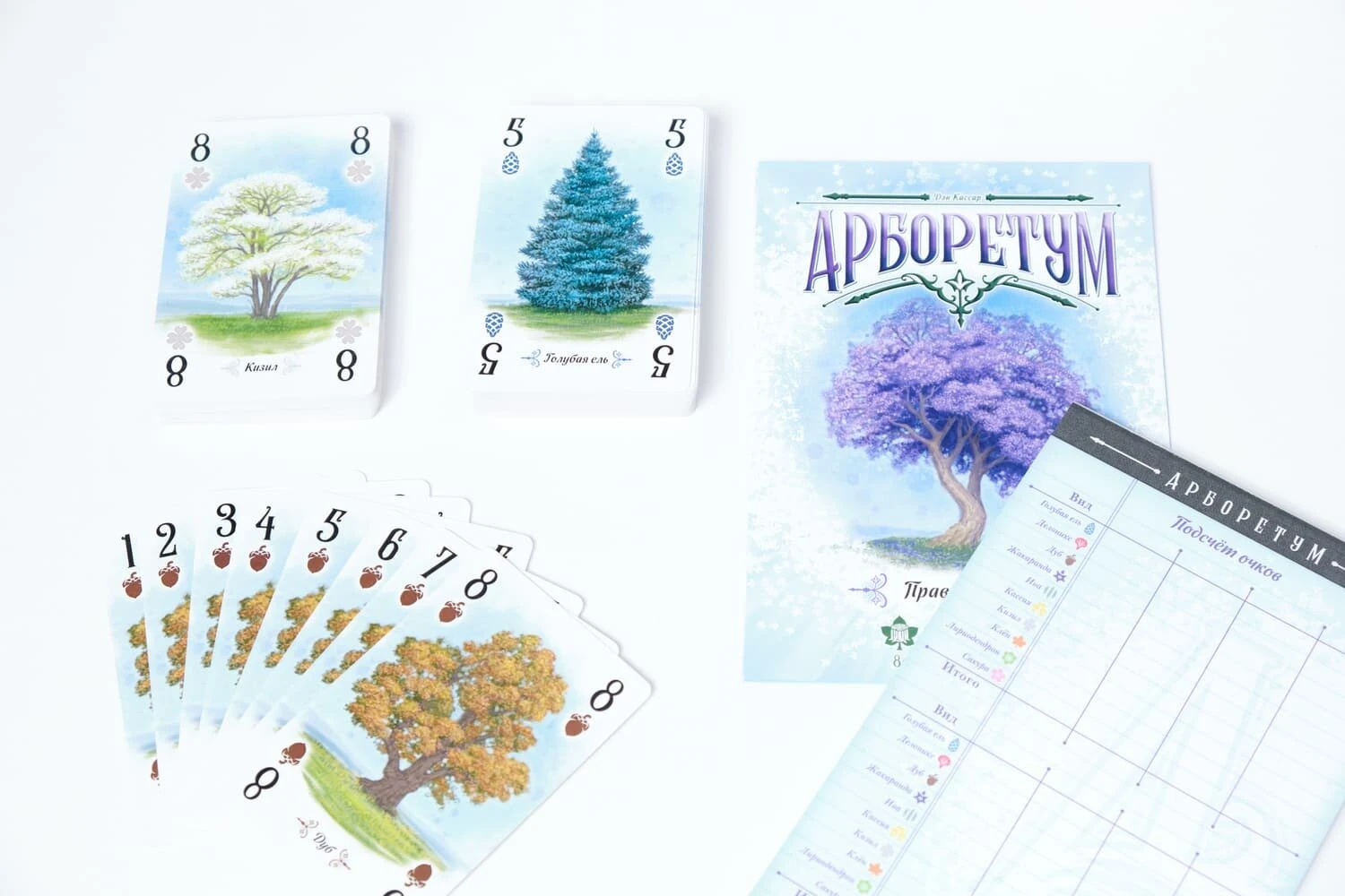 Дендрарій (Дендрарий / Арборетум / Arboretum) (анг.)