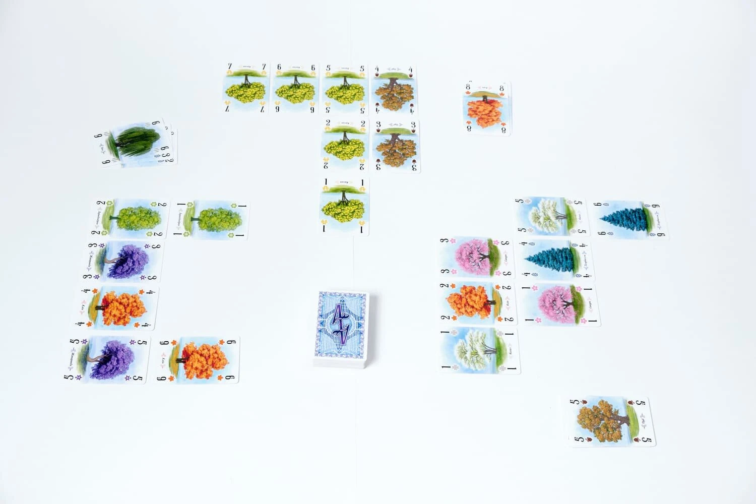 Дендрарій (Дендрарий / Арборетум / Arboretum) (анг.)