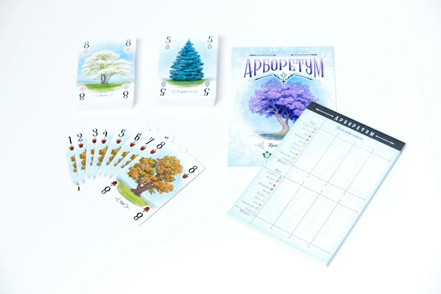 Дендрарій (Дендрарий / Арборетум / Arboretum) (анг.)