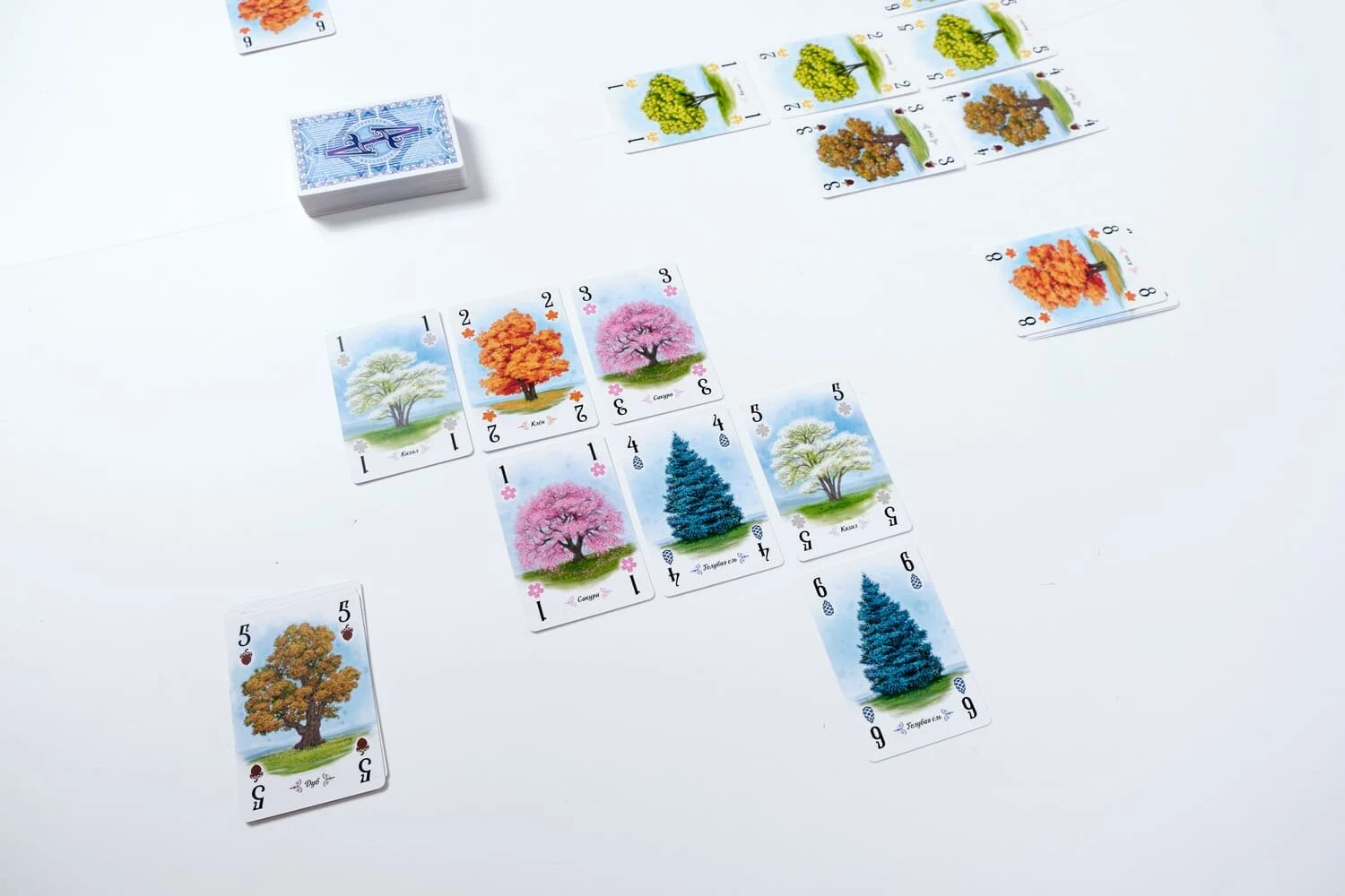 Дендрарій (Дендрарий / Арборетум / Arboretum) (анг.)