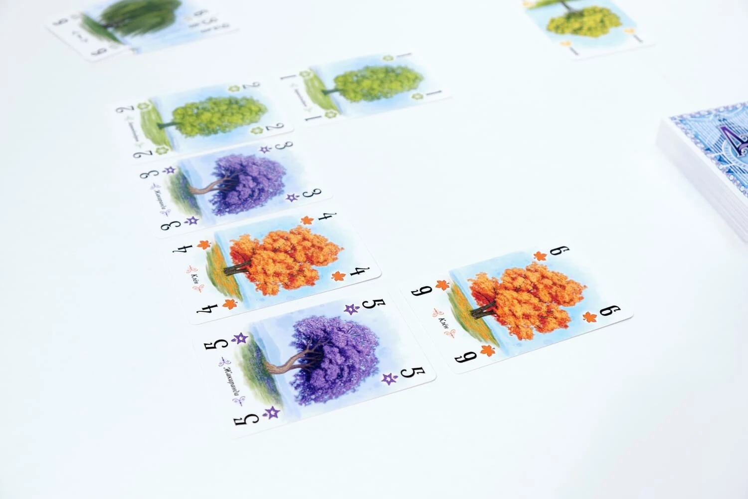 Дендрарій (Дендрарий / Арборетум / Arboretum) (анг.)