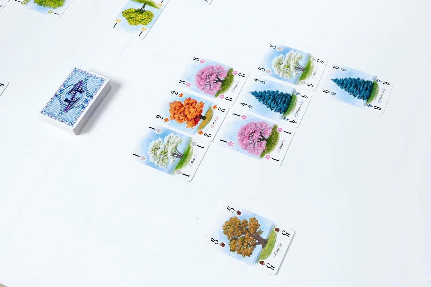 Дендрарій (Дендрарий / Арборетум / Arboretum) (анг.)