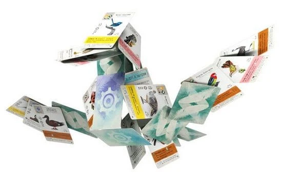 Крила: Птахи Океанії (Крылья: Птицы Океании / Wingspan: Oceania Expansion) (укр.)